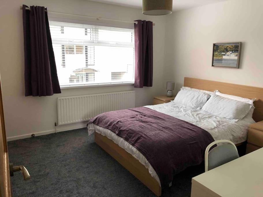 Revamped Holywood Town Centre House Lejlighed Eksteriør billede