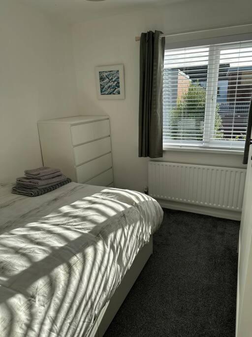 Revamped Holywood Town Centre House Lejlighed Eksteriør billede